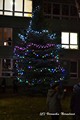 Rozsvícení stromečku na ZŠ Masarova, prosinec 2017