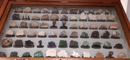 Mineralogická sbírka Přírodovědecké fakulty Masarykovy univerzity, říjen 2022